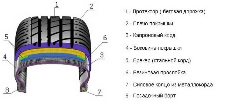 shema ustroistva shini